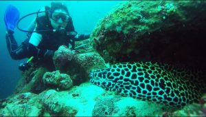 Diving Spots in Aceh