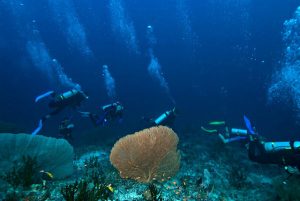 Diving Spots in Aceh