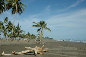 Tourist Attractions in Meulaboh Aceh