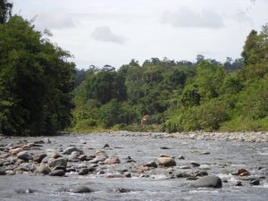 Mount Gedang