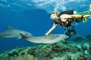 Diving Spots in Aceh