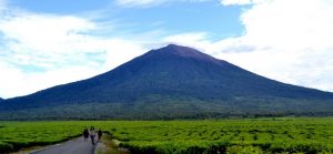 Mountains to Hike in Jambi