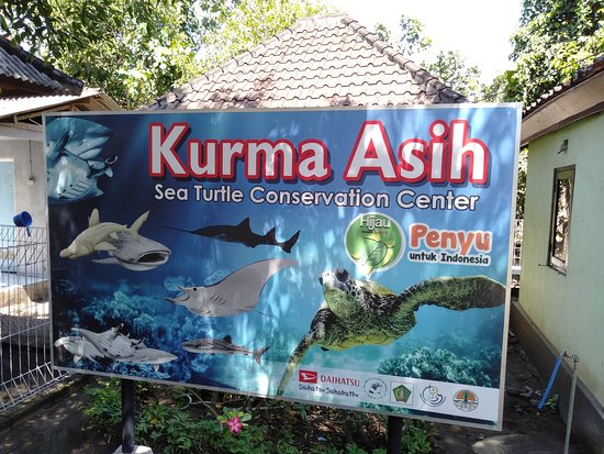 Zoos and Aquariums in Bali