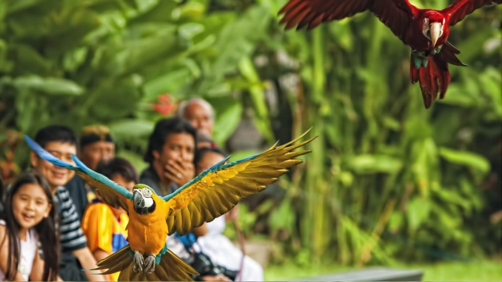 Zoos and Aquariums in Bali