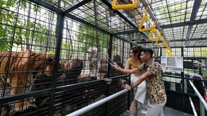 Tourist Attractions For Animal Lovers in Indonesia