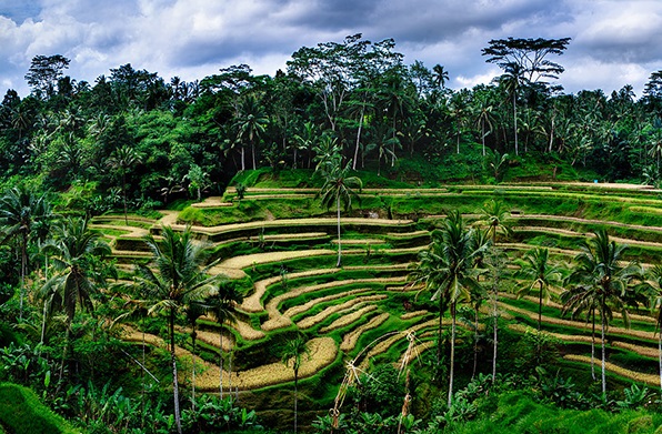 Places to Visit in Bali for First Timers