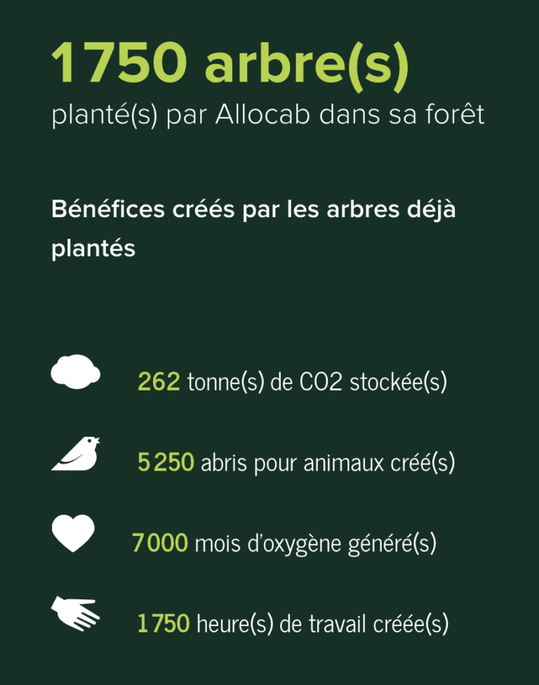 allocab-contribution-carbone-environnement-768x975.png