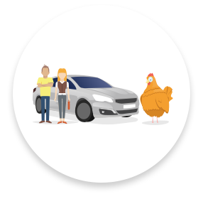 Poule