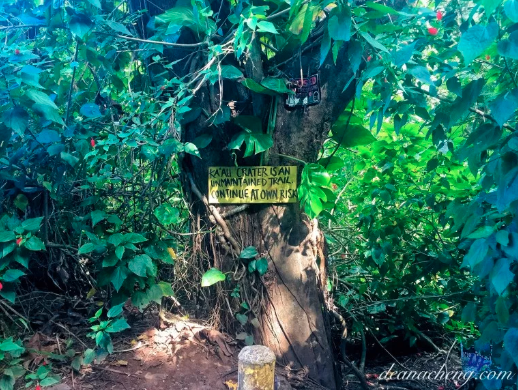 ka'au crater hike