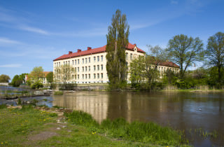 Trädgårdens skola