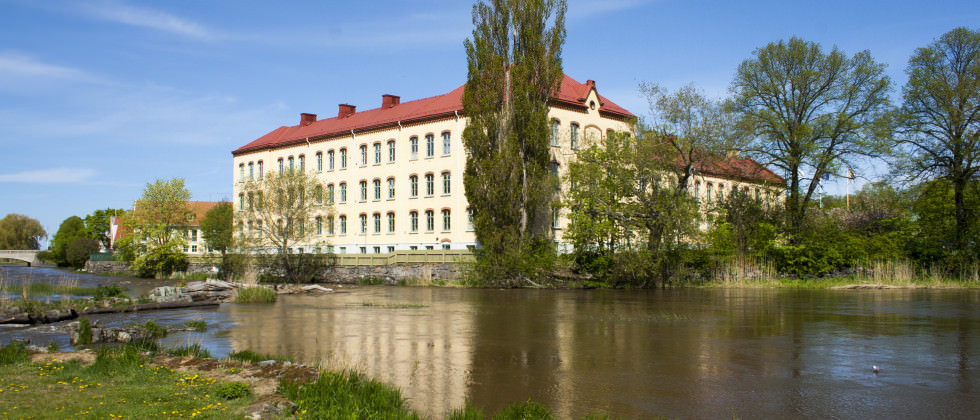 Trädgårdens skola