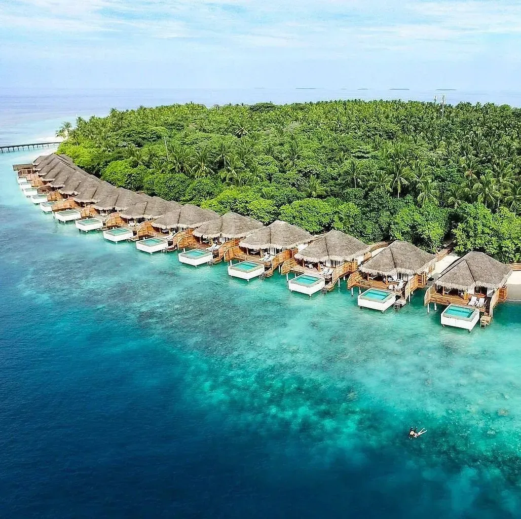 دوسيت تاني المالديف