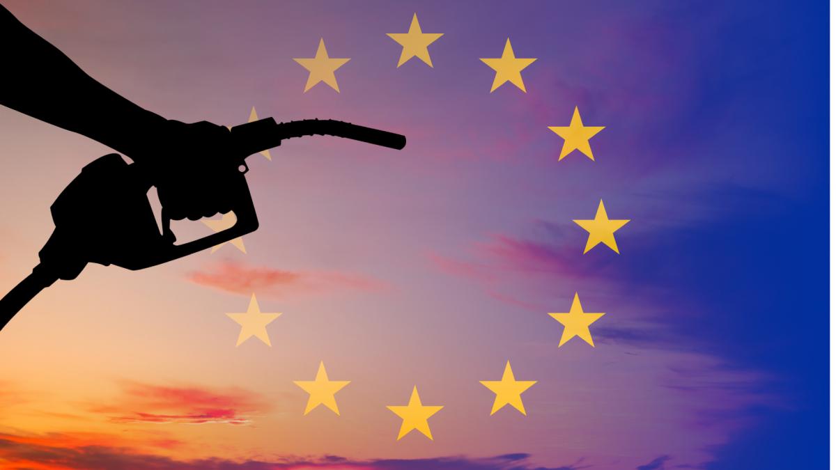 FMI avertizează Europa să nu ascundă șocul energetic sub plafonări și subvenții generale — NRG-IA