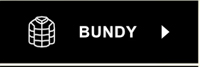 Bundy