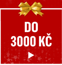 Do 3000 Kč