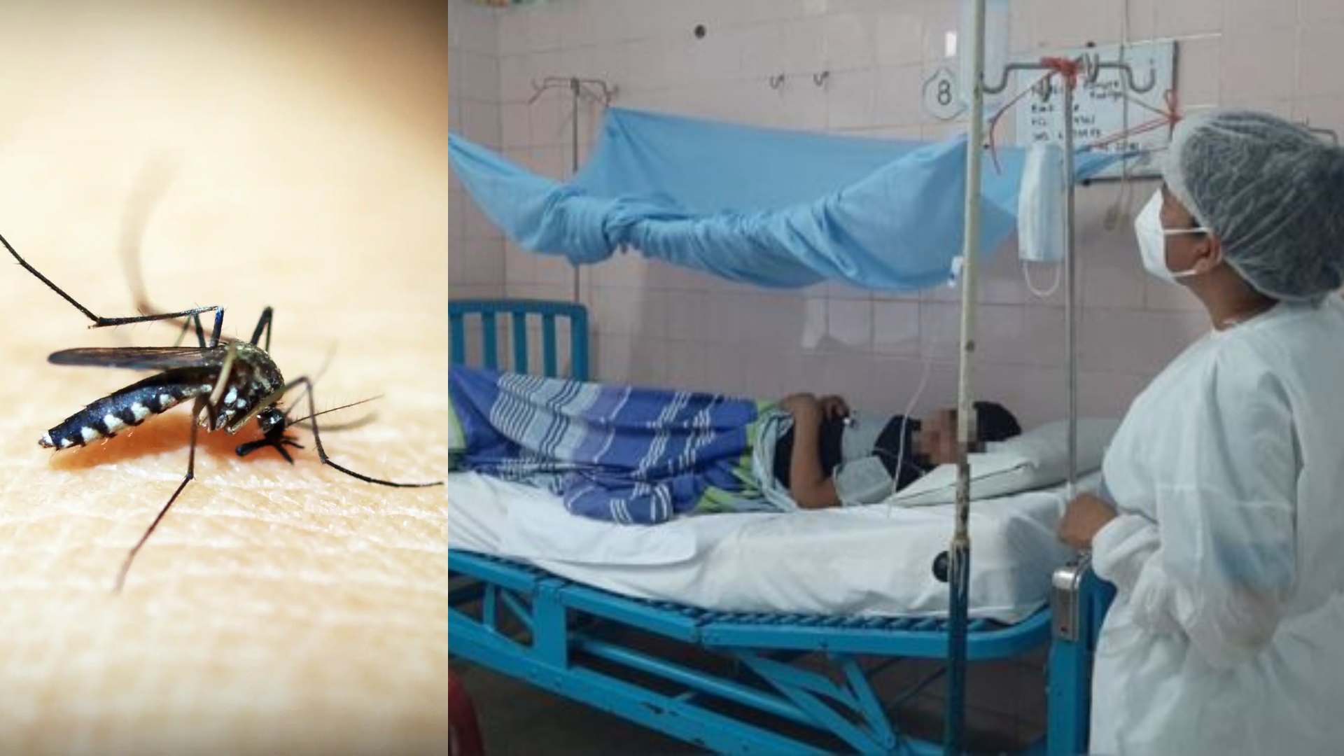 9111-tucuman-el-dengue-y-la-lucha-de-los-trabajadores-de-la-salud
