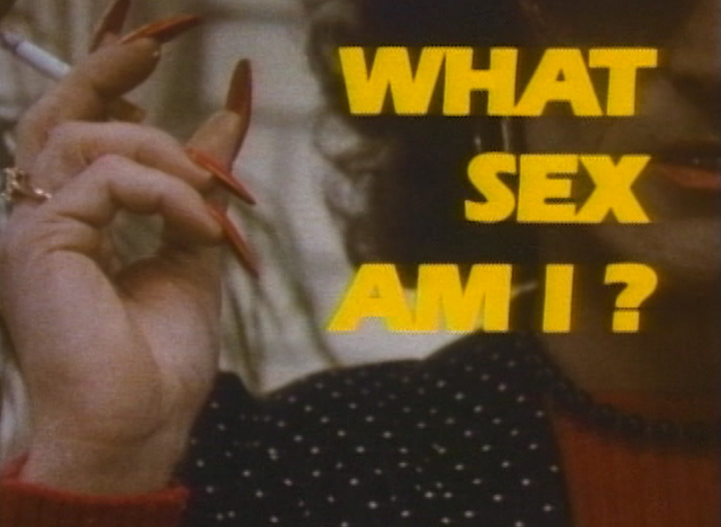 What Sex Am I? (1985) - Altavod