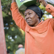 Hurricane Matthew Disaster Relief for Haiti avatar