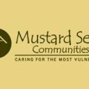 Mustard Seed fundrasing appeal avatar