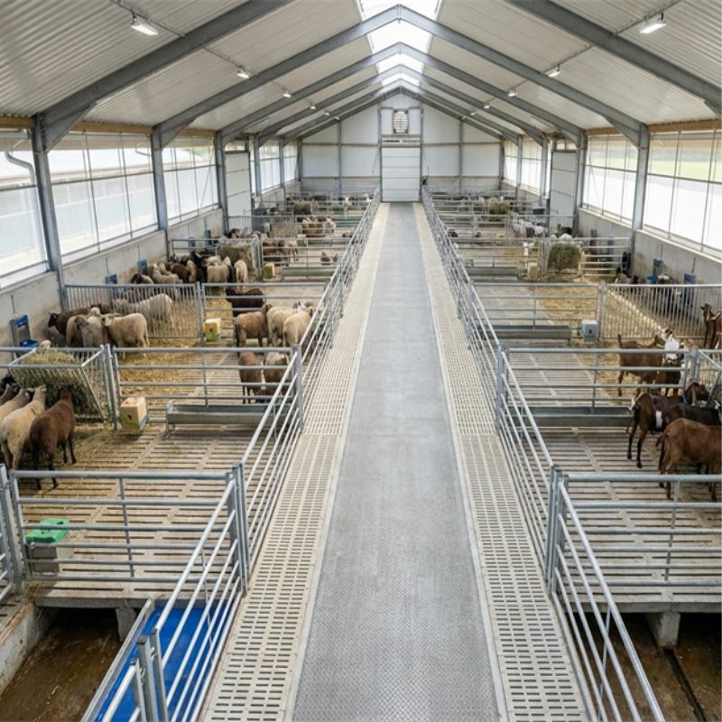 Small ruminant forage production & utilization field laboratory