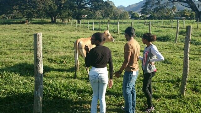 Small ruminant forage production & utilization field laboratory