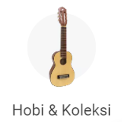 hobi dan koleksi
