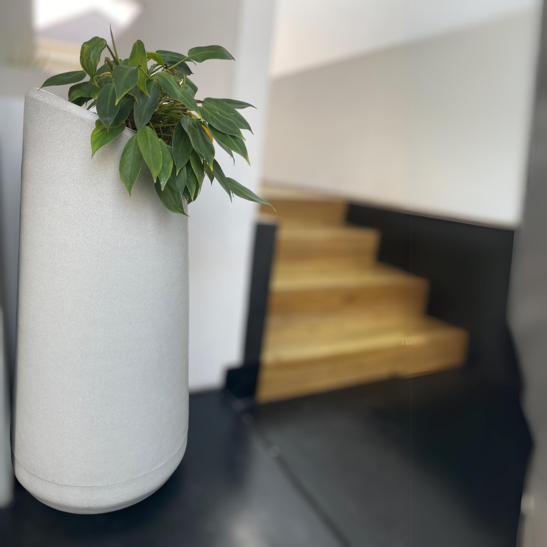 KAGUYA PLANTER