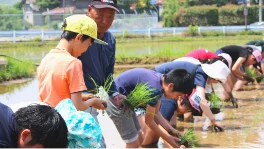 島の自然環境や伝統文化、営みの継承と発展に関する事業