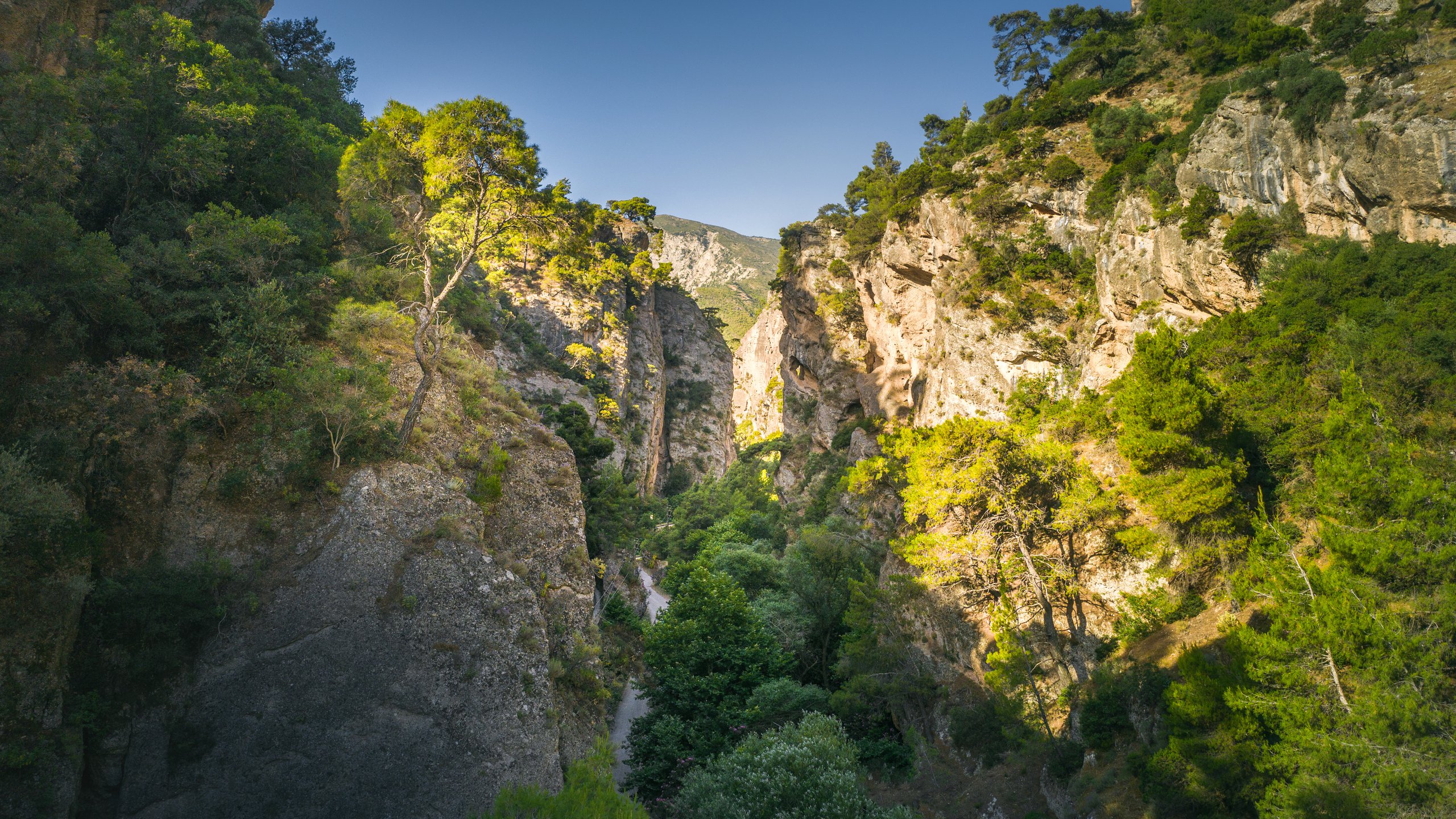 Image of Aigio.