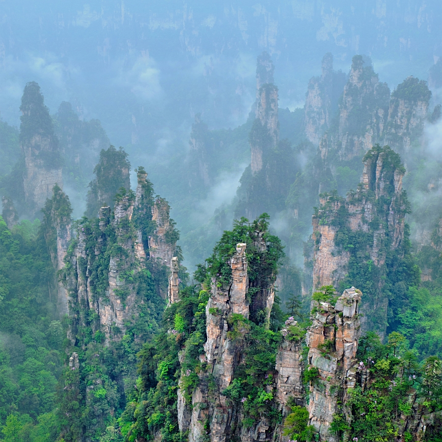 Getty images q0v JQ8 T0r ZU unsplash