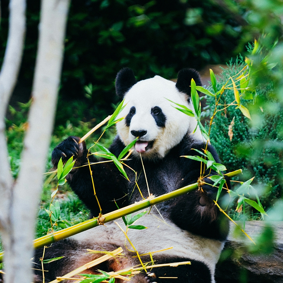 Jay wennington s f D5 Tpew2k unsplash