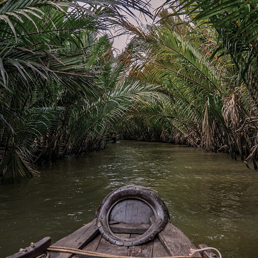 Reis4 Mekongdelta michael hutter o3 Ofv Pg Seug unsplash