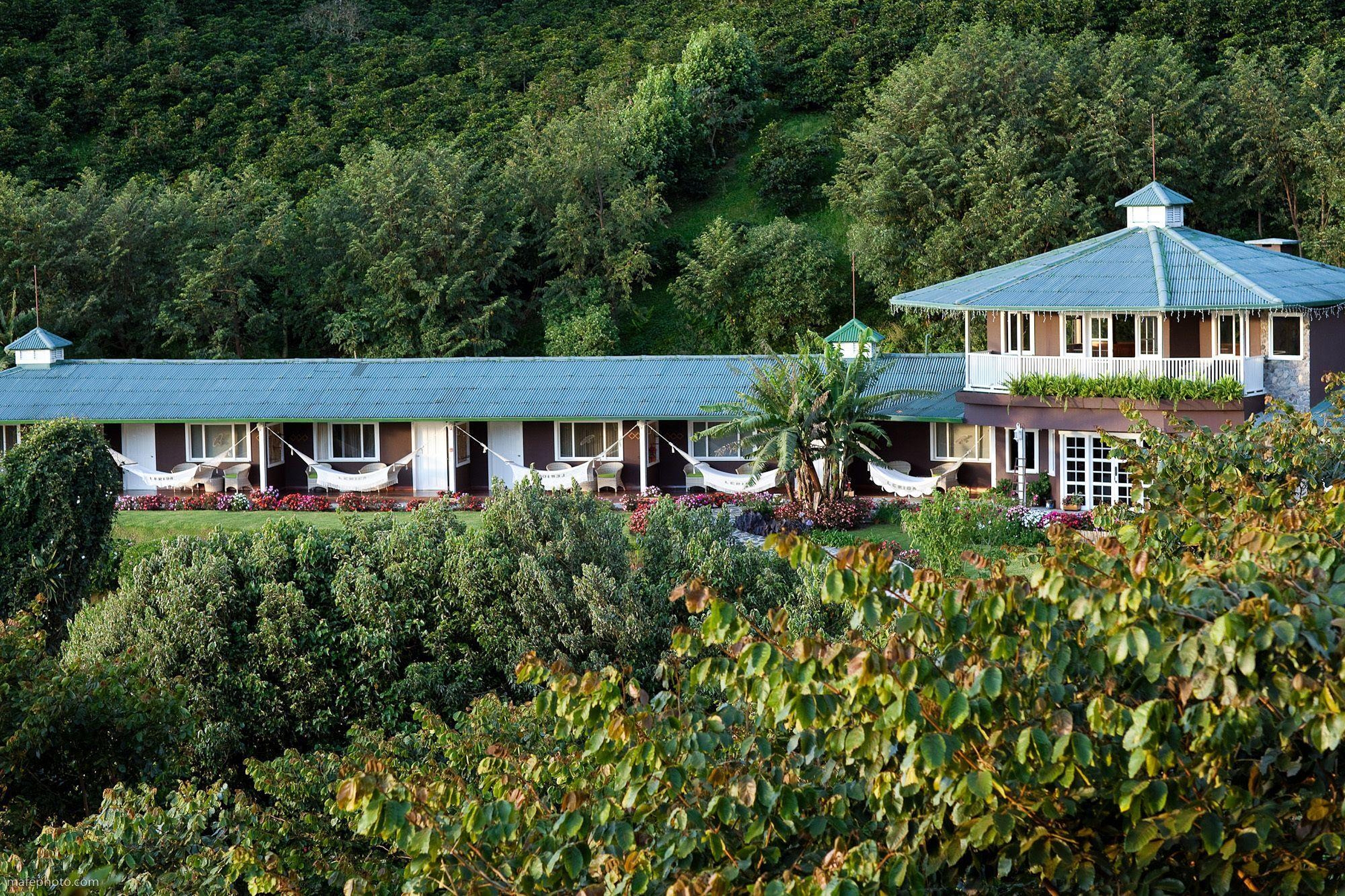 Finca Lerida 6