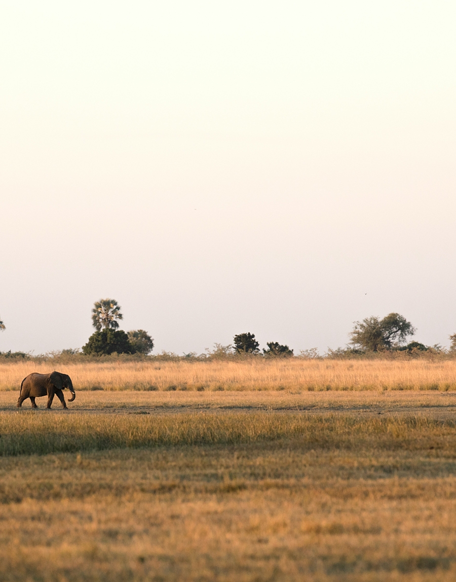 Getty images d Jmy Om9tv Xw unsplash