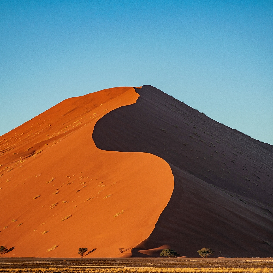 Taylor wright n G m3m3nc Wg unsplash
