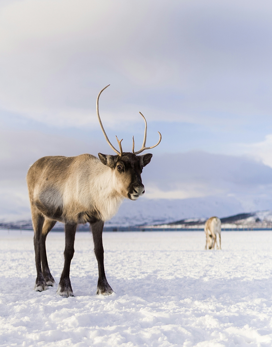 Nicolas lafargue 3v1 GBL9p WE4 unsplash