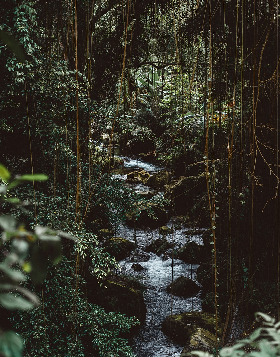 Joshua newton eg K73 X Cw N8 I unsplash