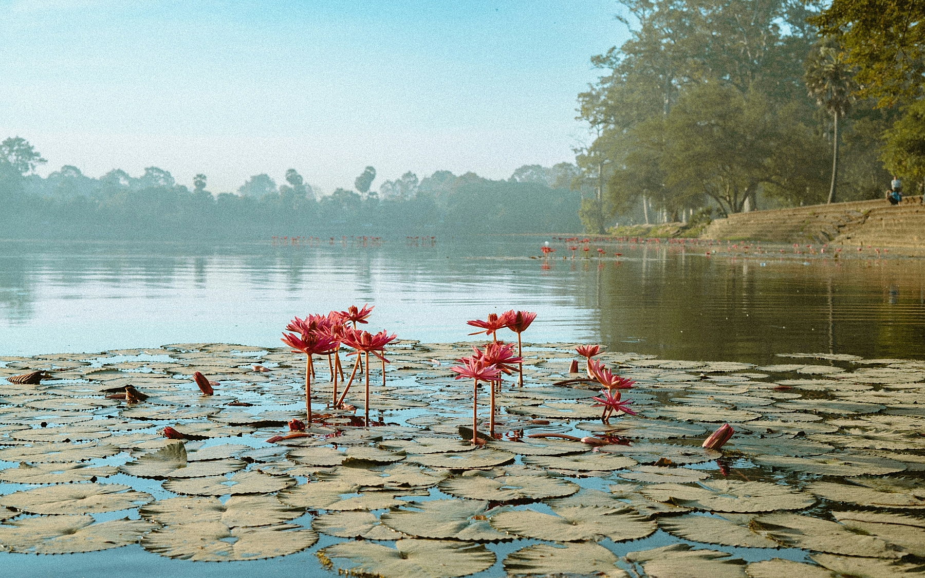 Daniel bernard w Hz PP Xgqp Bs unsplash
