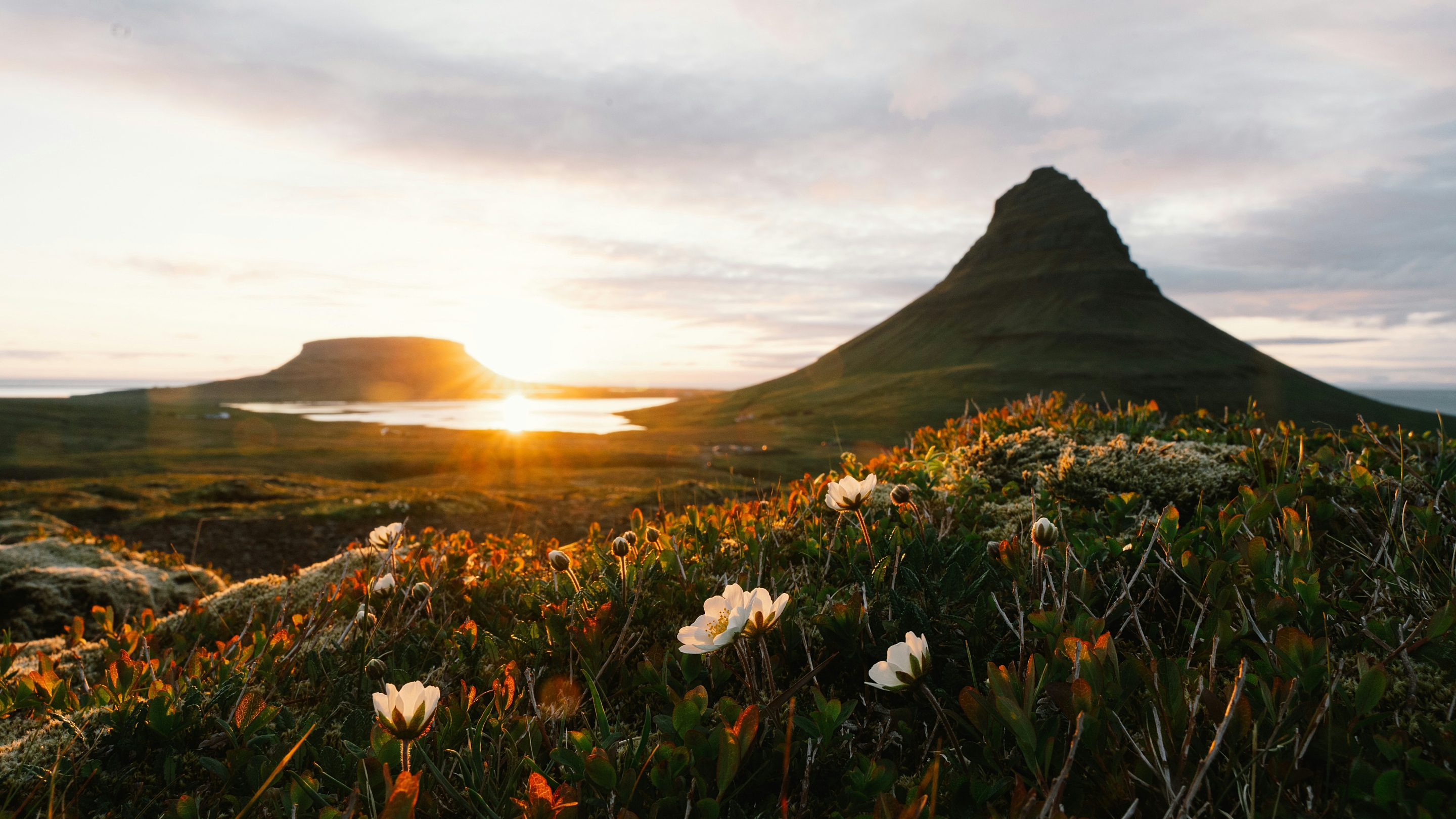 Hans ott q H Aapv7e8 C4 unsplash