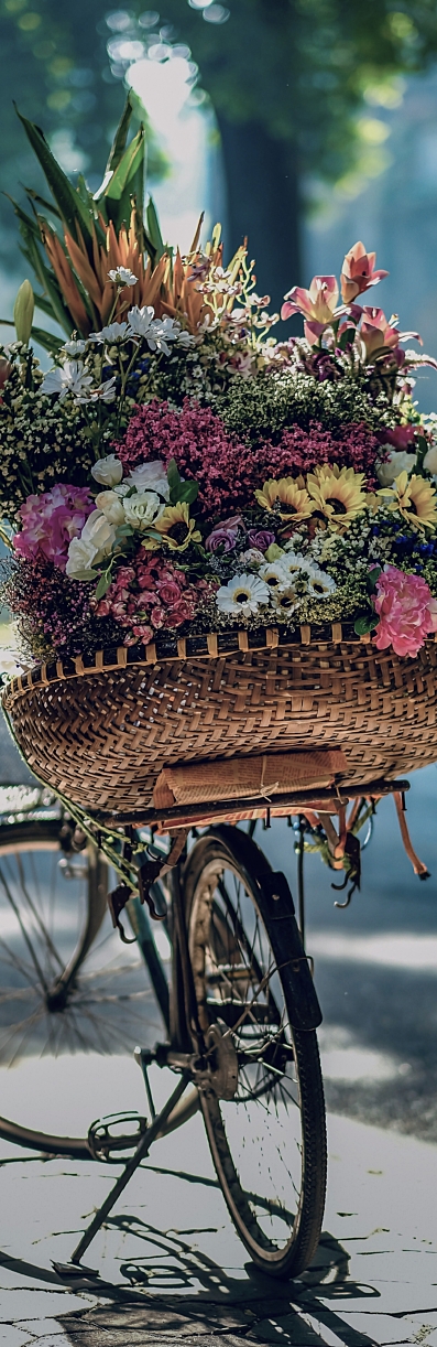 Reis2 hai tran tt HFM Mae1w unsplash