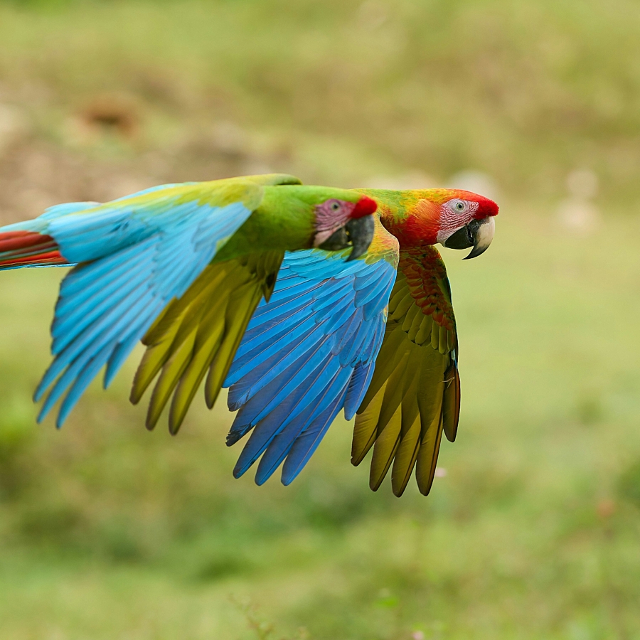 Zdenek machacek WKN4e6 ZZN Xc unsplash