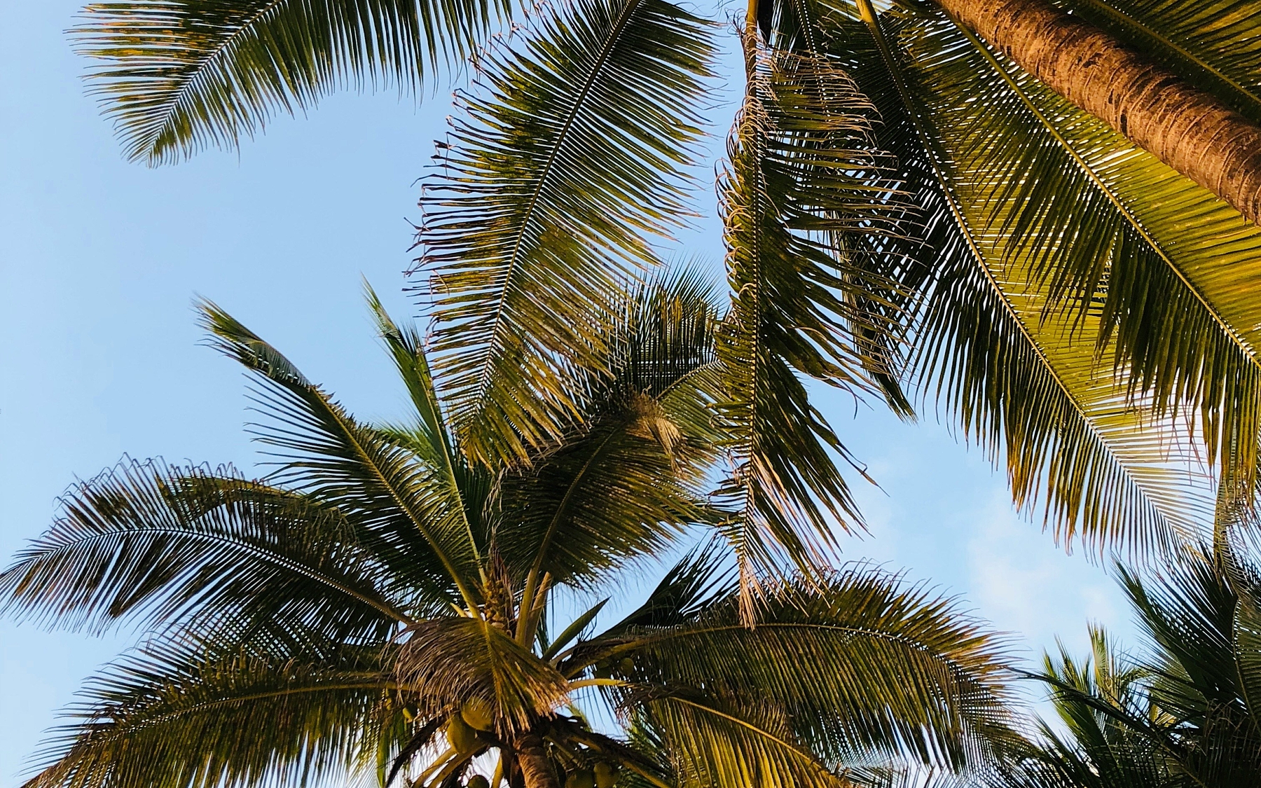 Ronan dorard 3 Kp9pgk L014 unsplash
