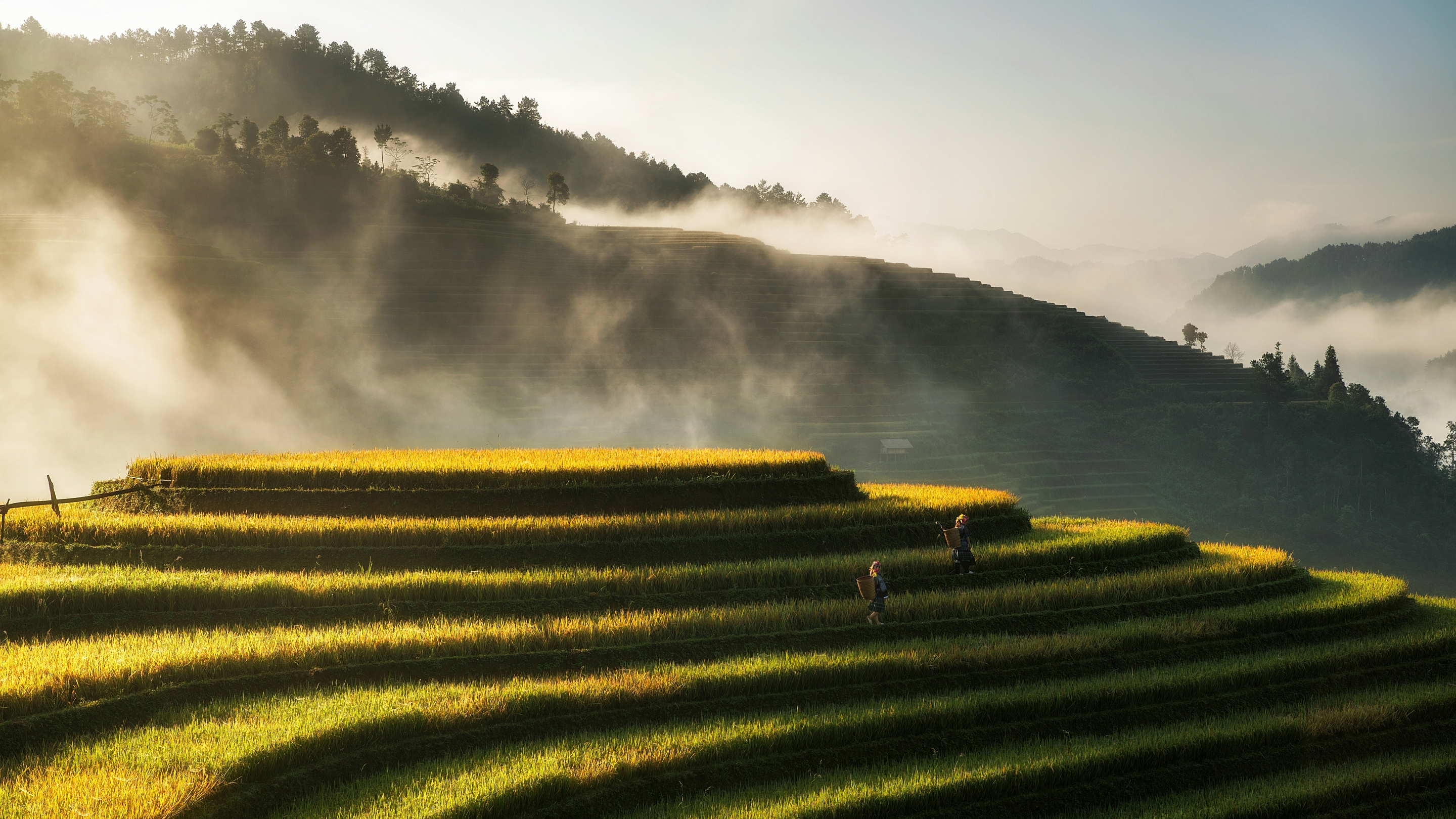 Vietnam Algemeen 1 hoach le dinh Pe Rt3u Mmj YM unsplash