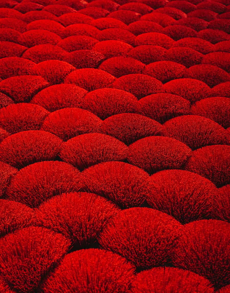 Thomas boxma w O49cx3 Bibw unsplash