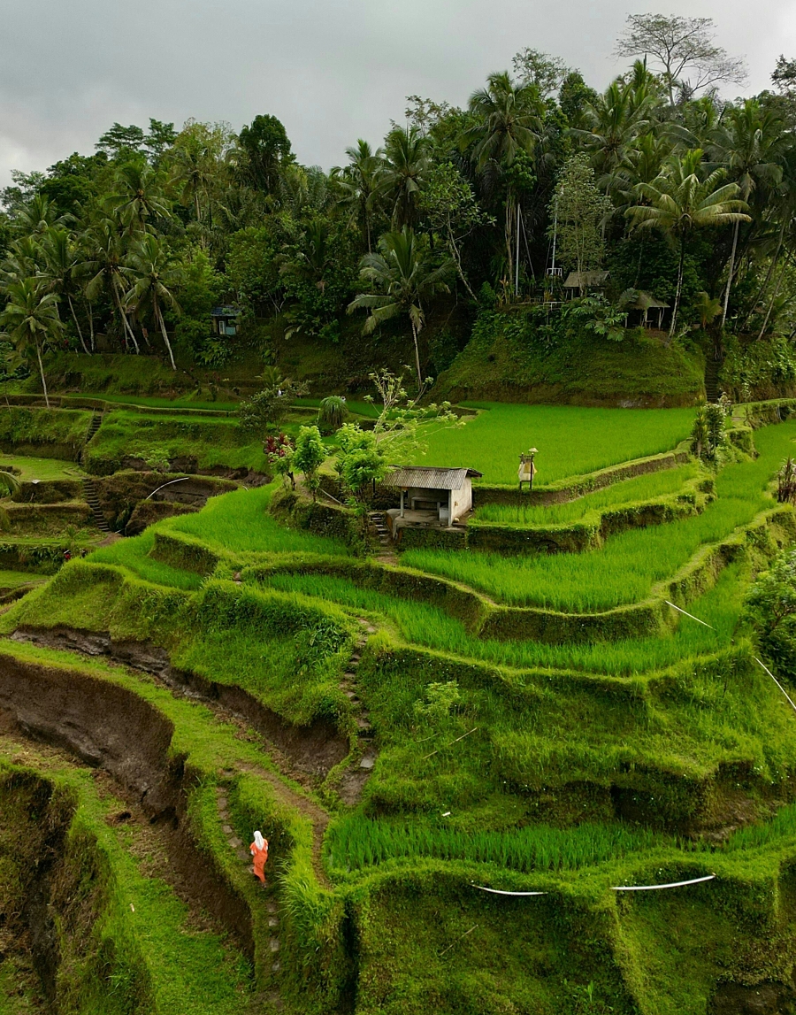Getty images UPX Ys5 H Ux4 unsplash