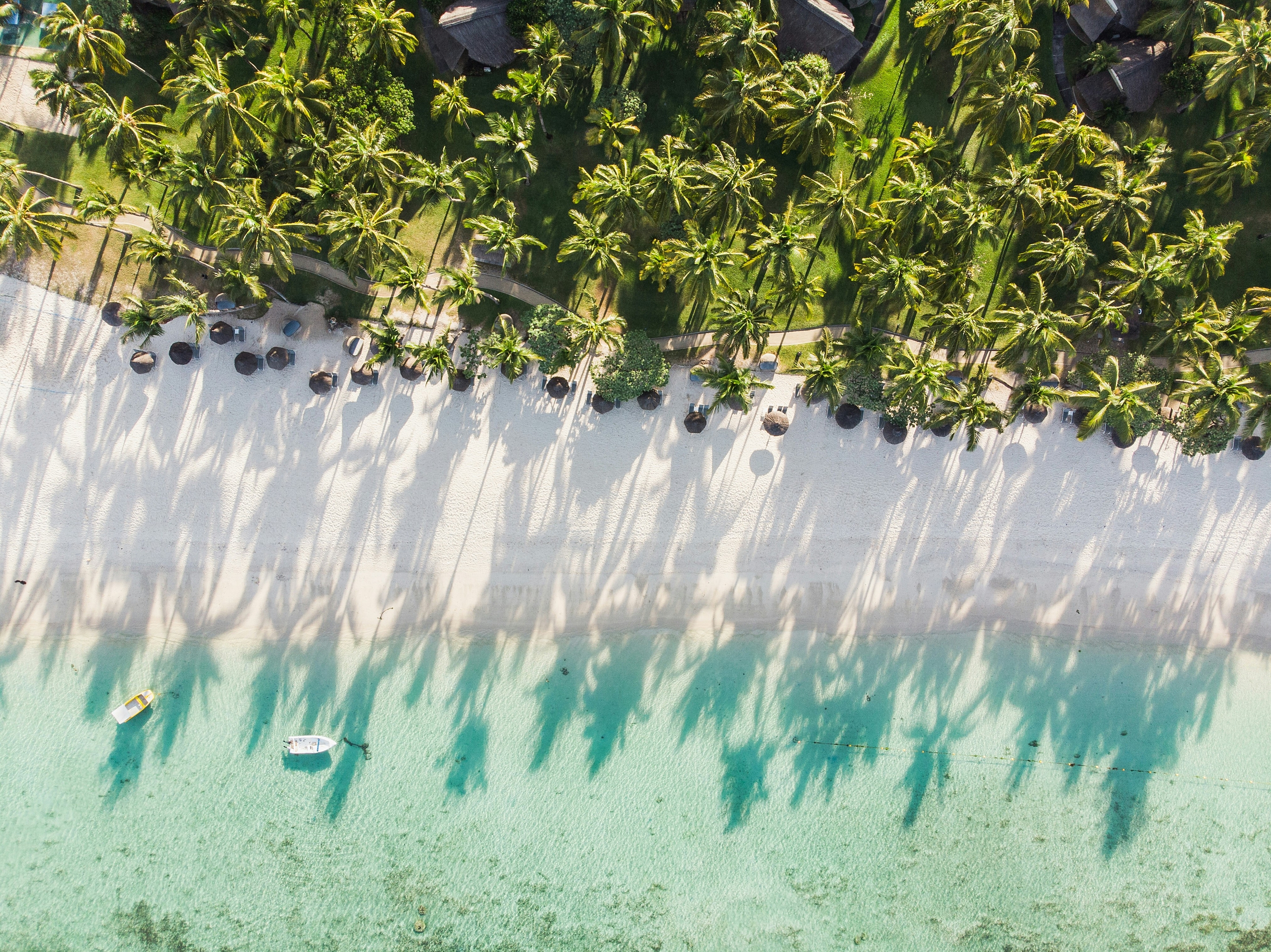 Teodor kuduschiev wp Ku EZZUK8 unsplash