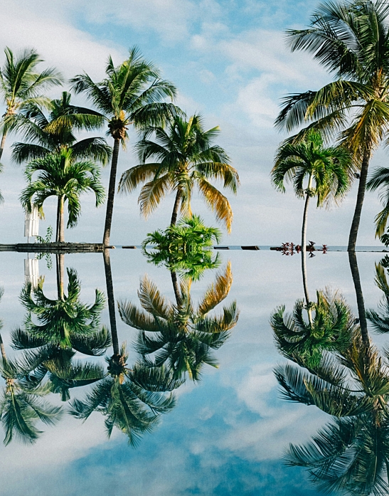 Dan freeman w An4 Rfm Xtx U unsplash