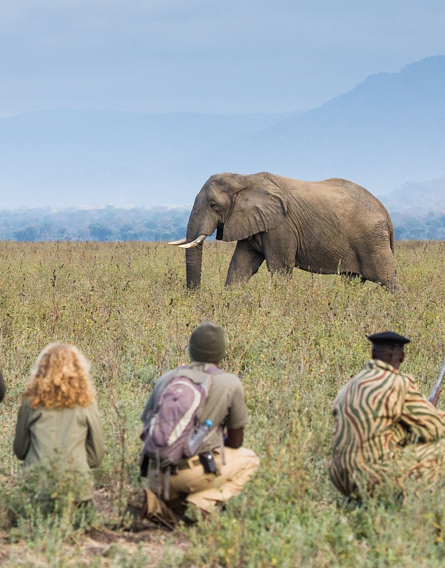 Zambia Foto 4
