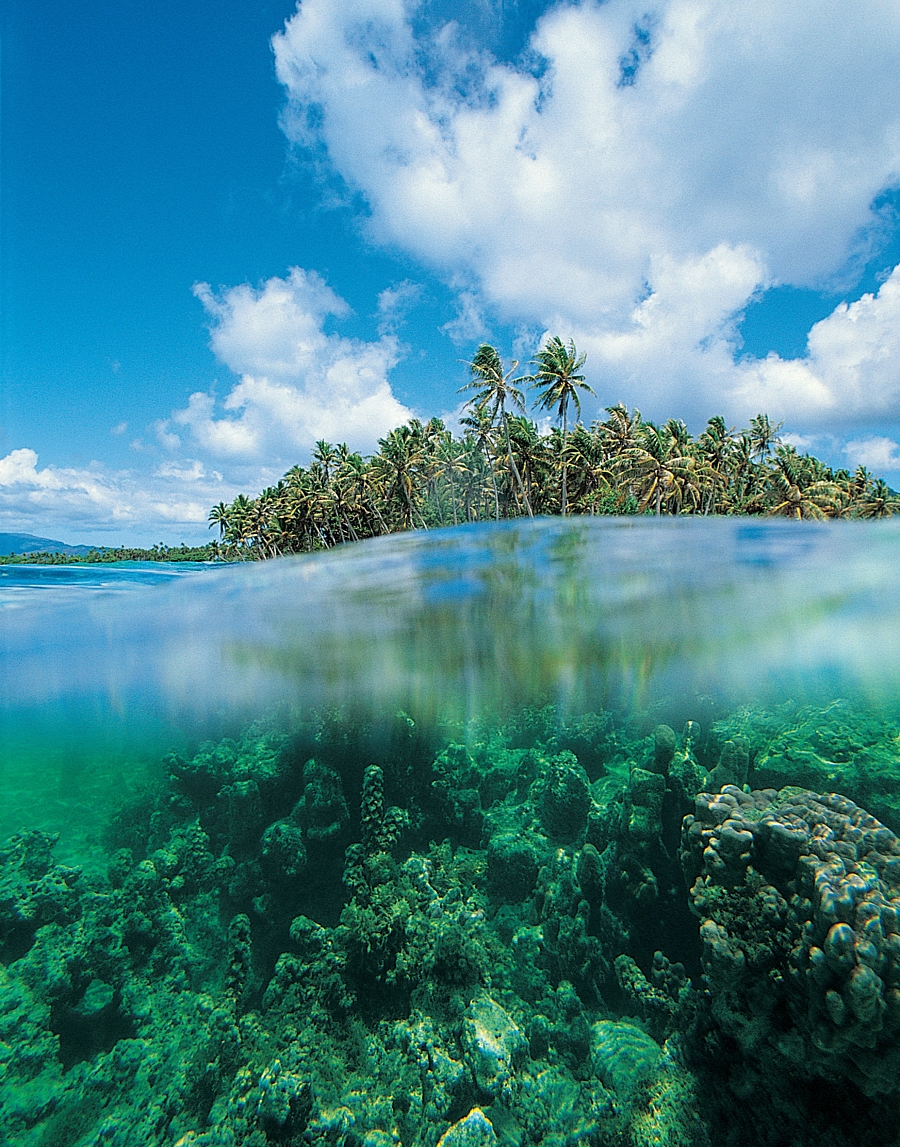 Getty images RJ7 Da ITH Uok unsplash 1