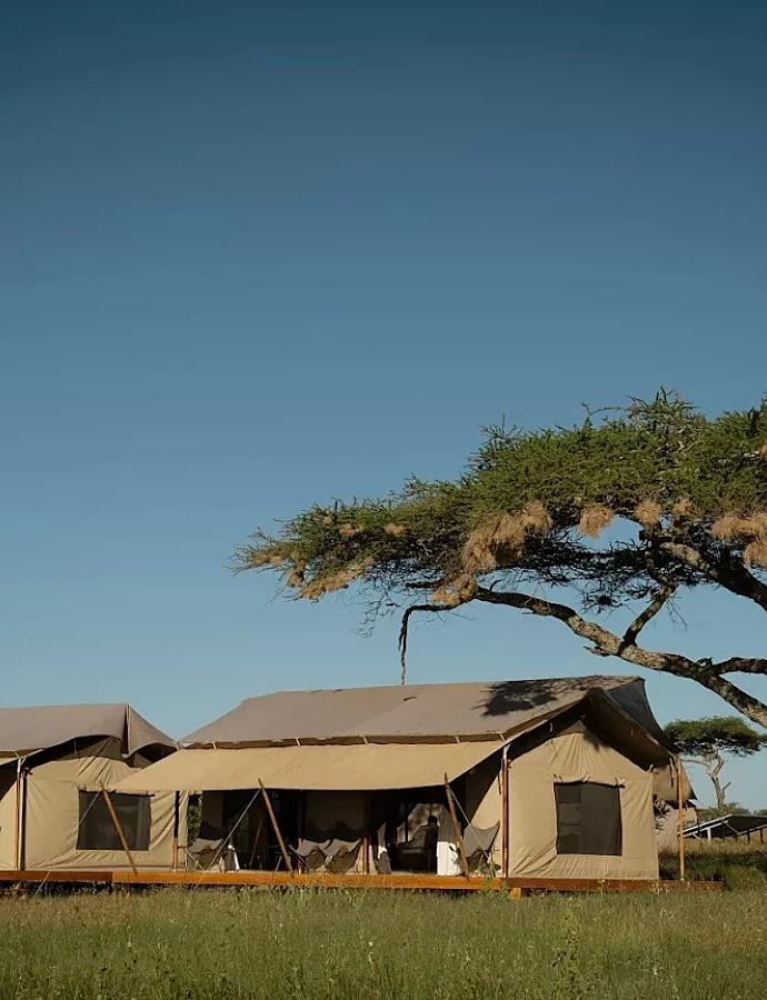 Siringit Serengeti Camp 33